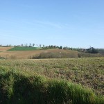 Horizon sur la Salle des Fêtes.jpg